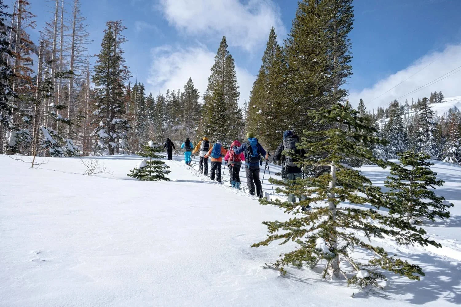 Backcountry splitboarding training with professional guides in Mammoth Lakes