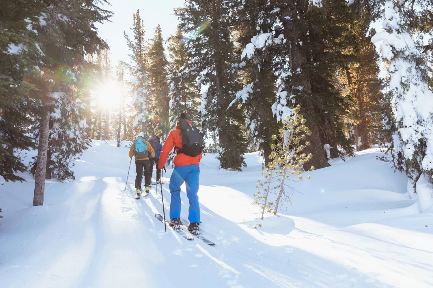 Avalanche awareness course in the Mammoth Lakes backcountry