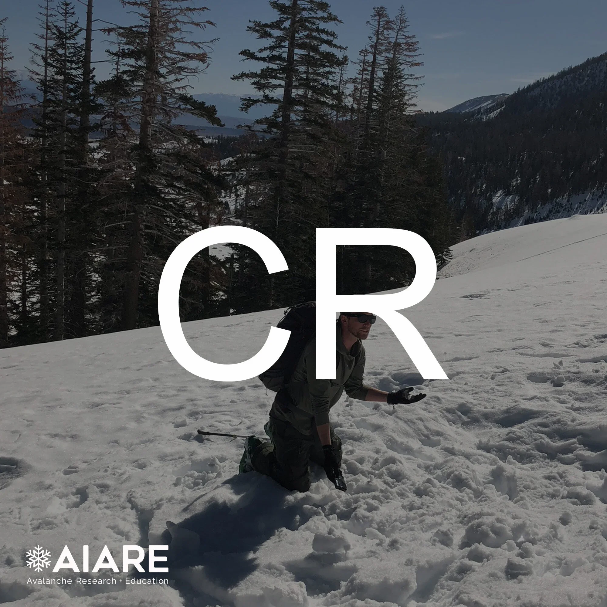 Avalanche awareness and rescue skills course in Mammoth Lakes