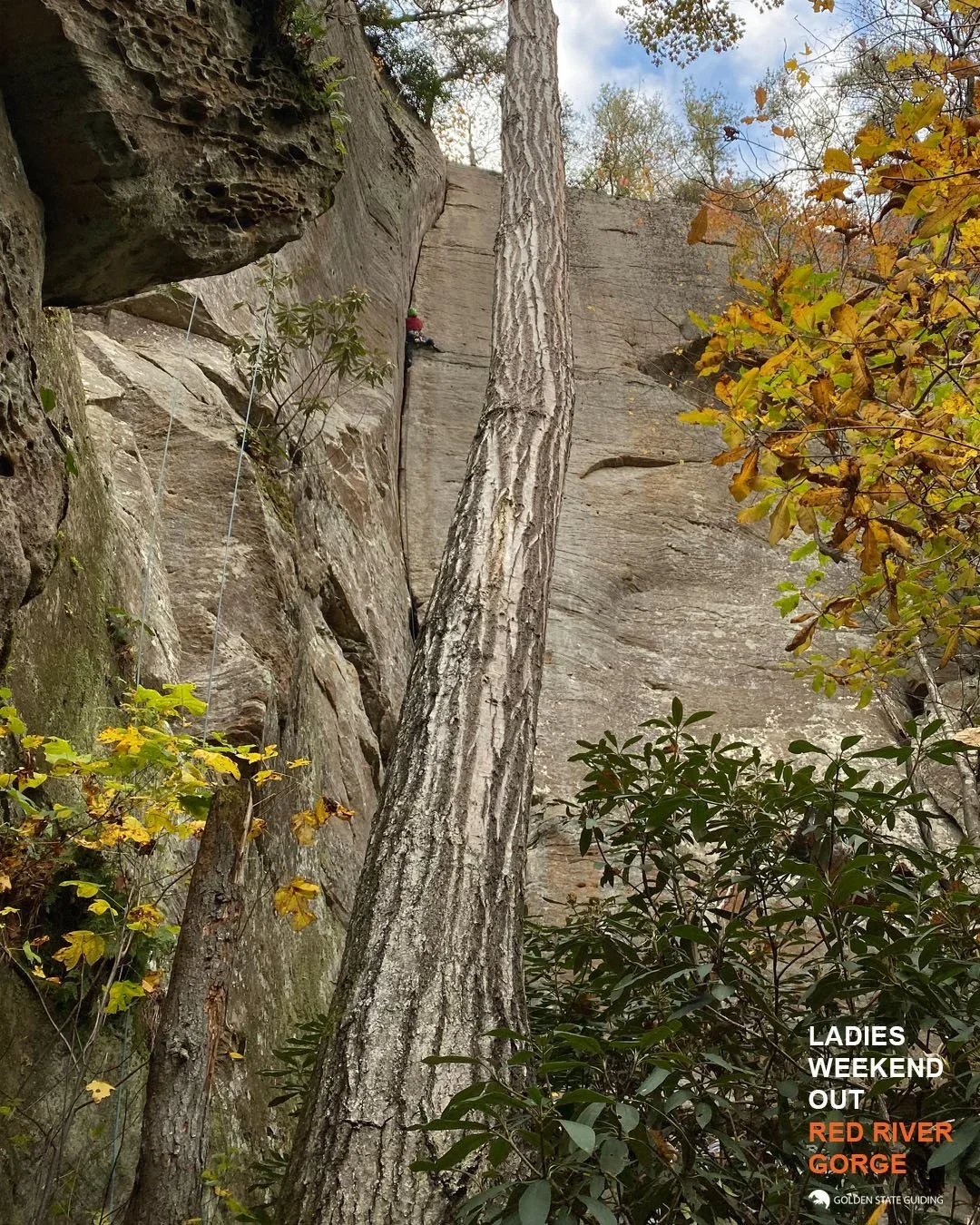 womans-rock-climbing-event-red-river-gorge-2.webp