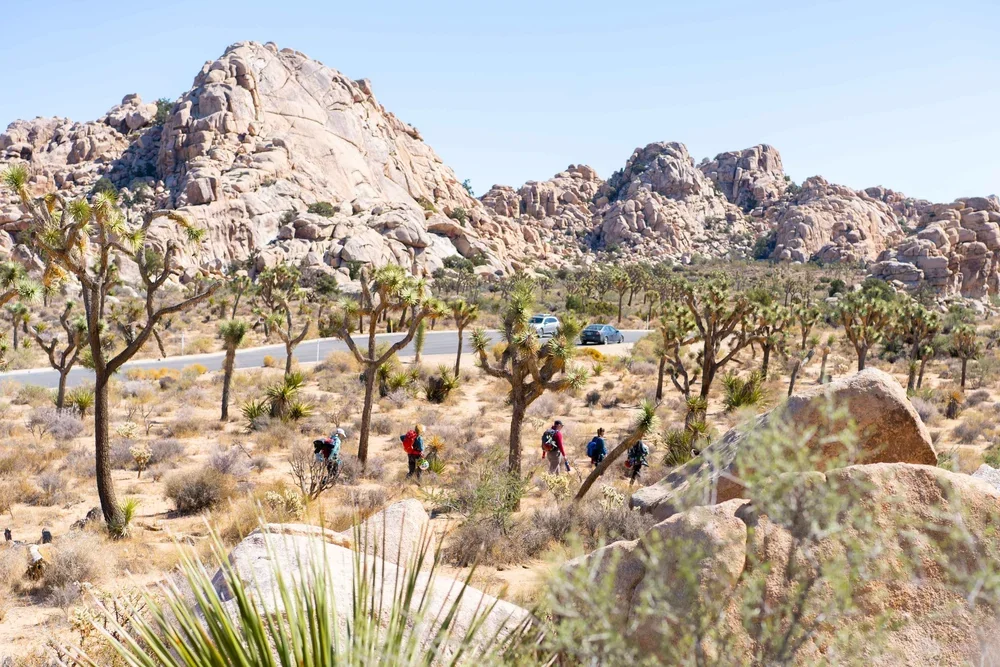 Private rock climbing instruction on Joshua Tree granite formations