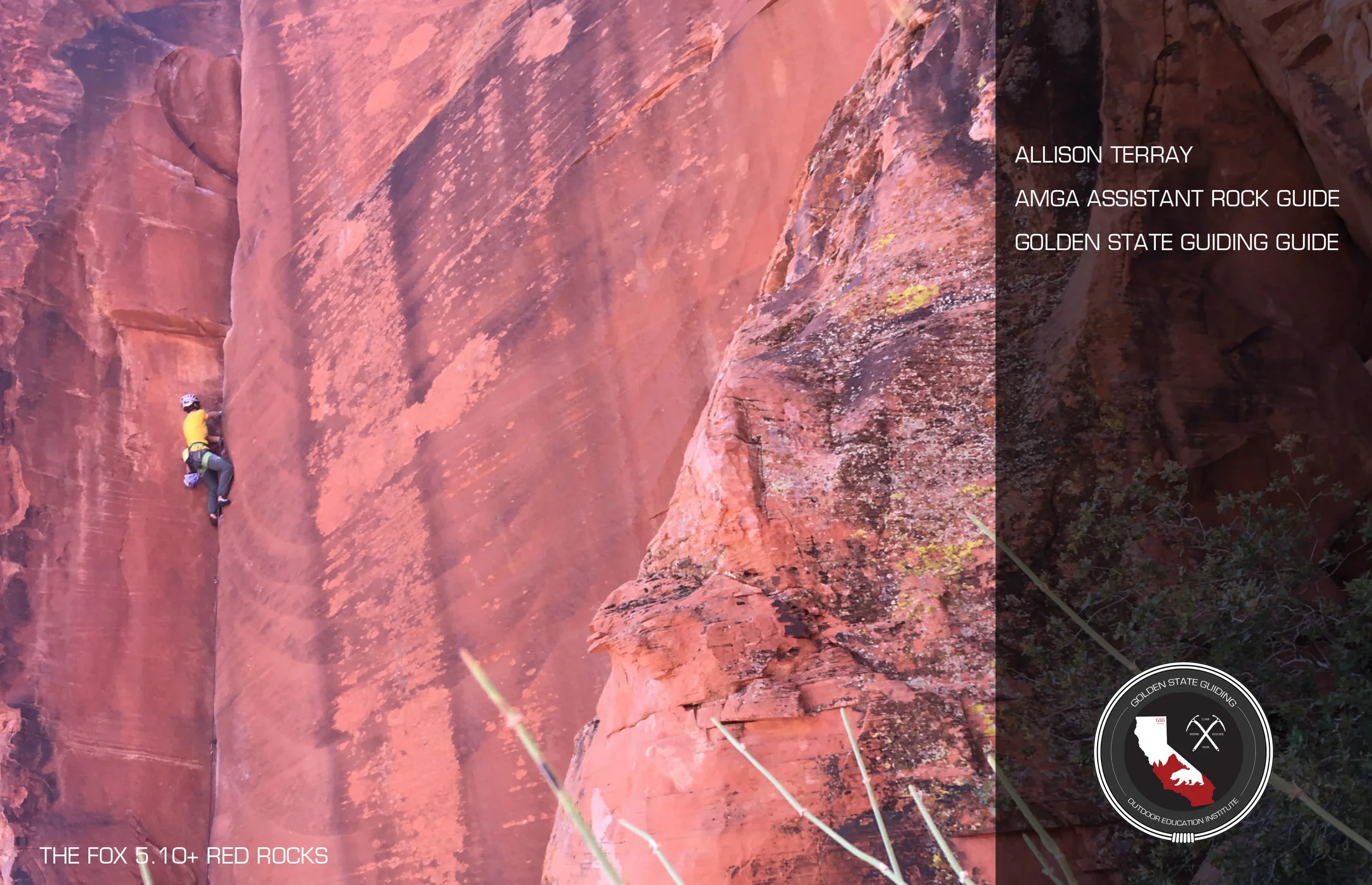 GSG Guide Allison Terray // AMGA Assistant Rock Guide