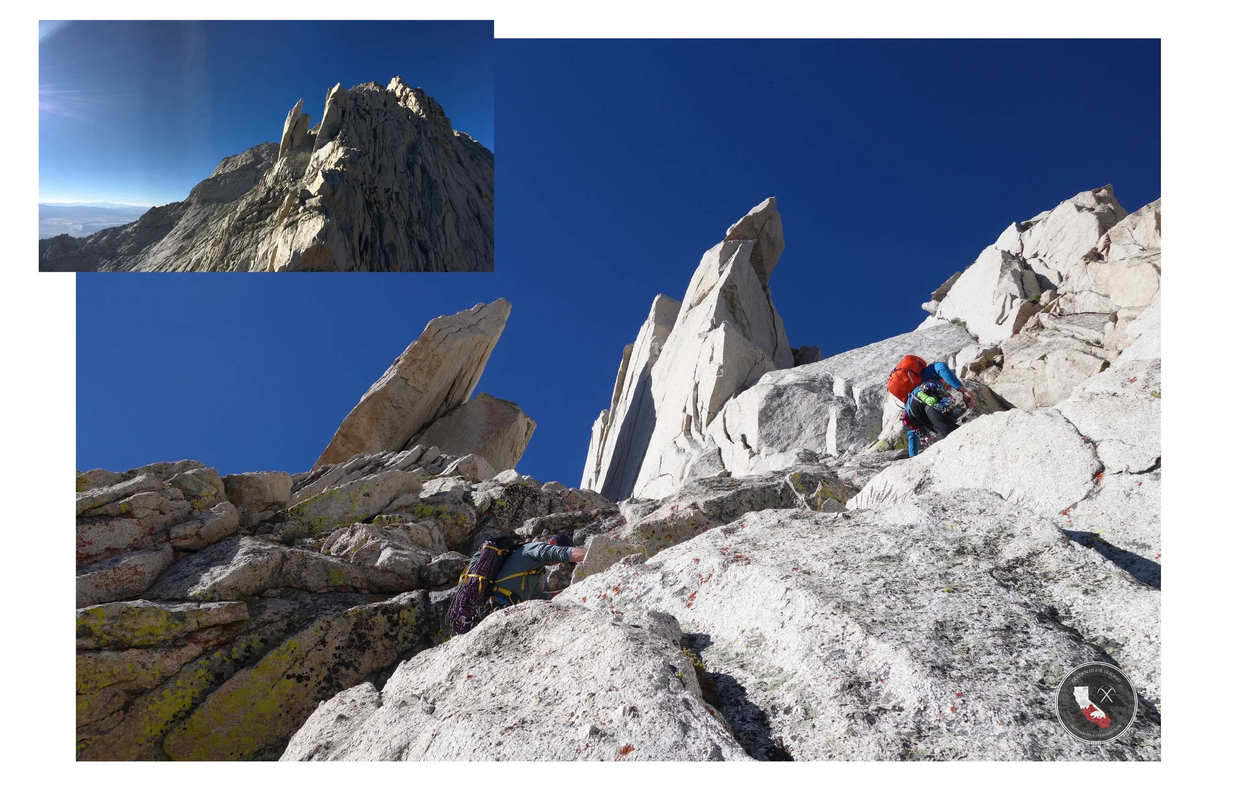 #FBF Going Up! NRLPP