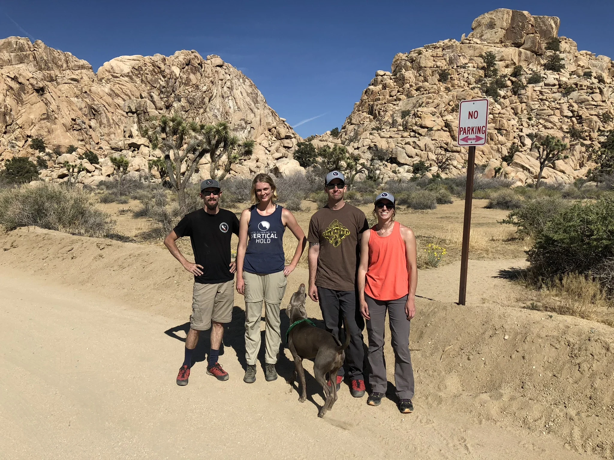 Advanced Gym 2 Crag // April Series