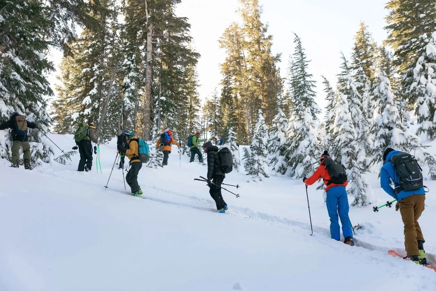 Snowpack evaluation course in Mammoth Lakes with professional instructors