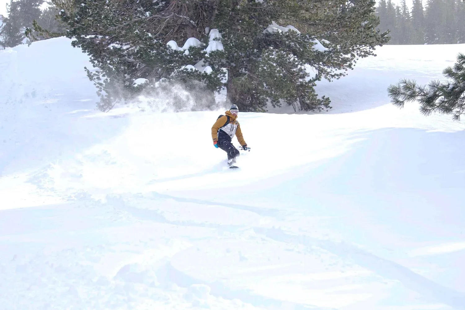 Guided splitboard travel in alpine terrain of the Eastern Sierra