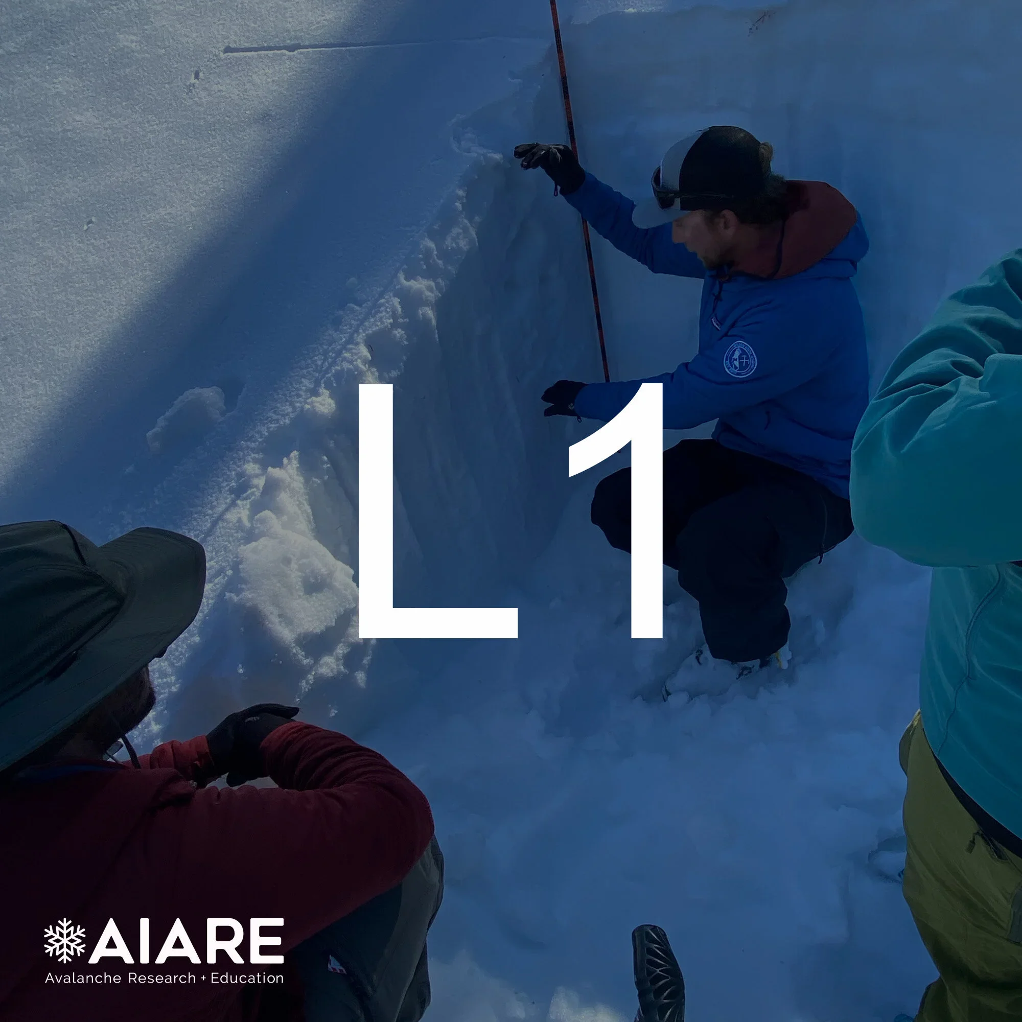 AIARE Level 1