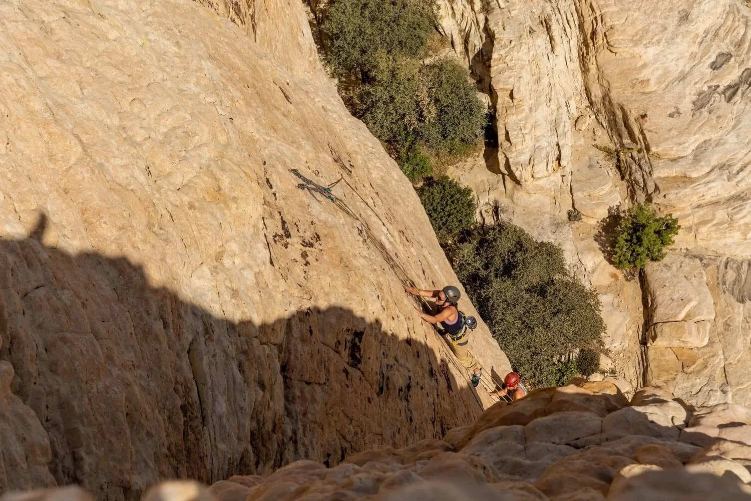 Beginner-friendly rock climbing experience in Red Rock Canyon