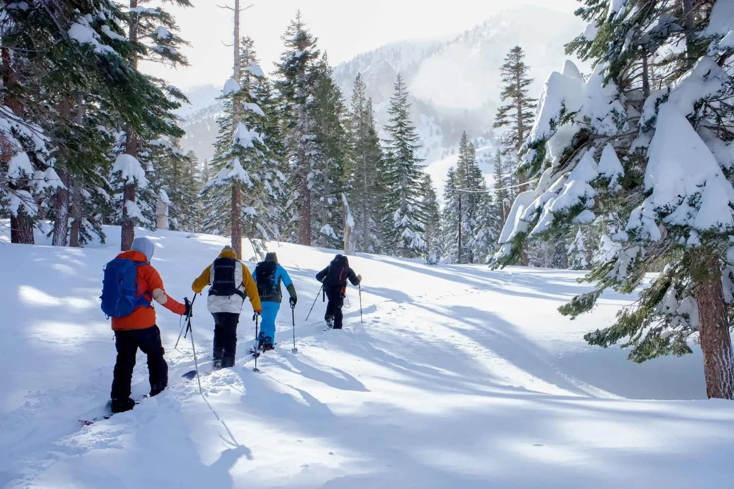Backcountry splitboarding training in the Eastern Sierra