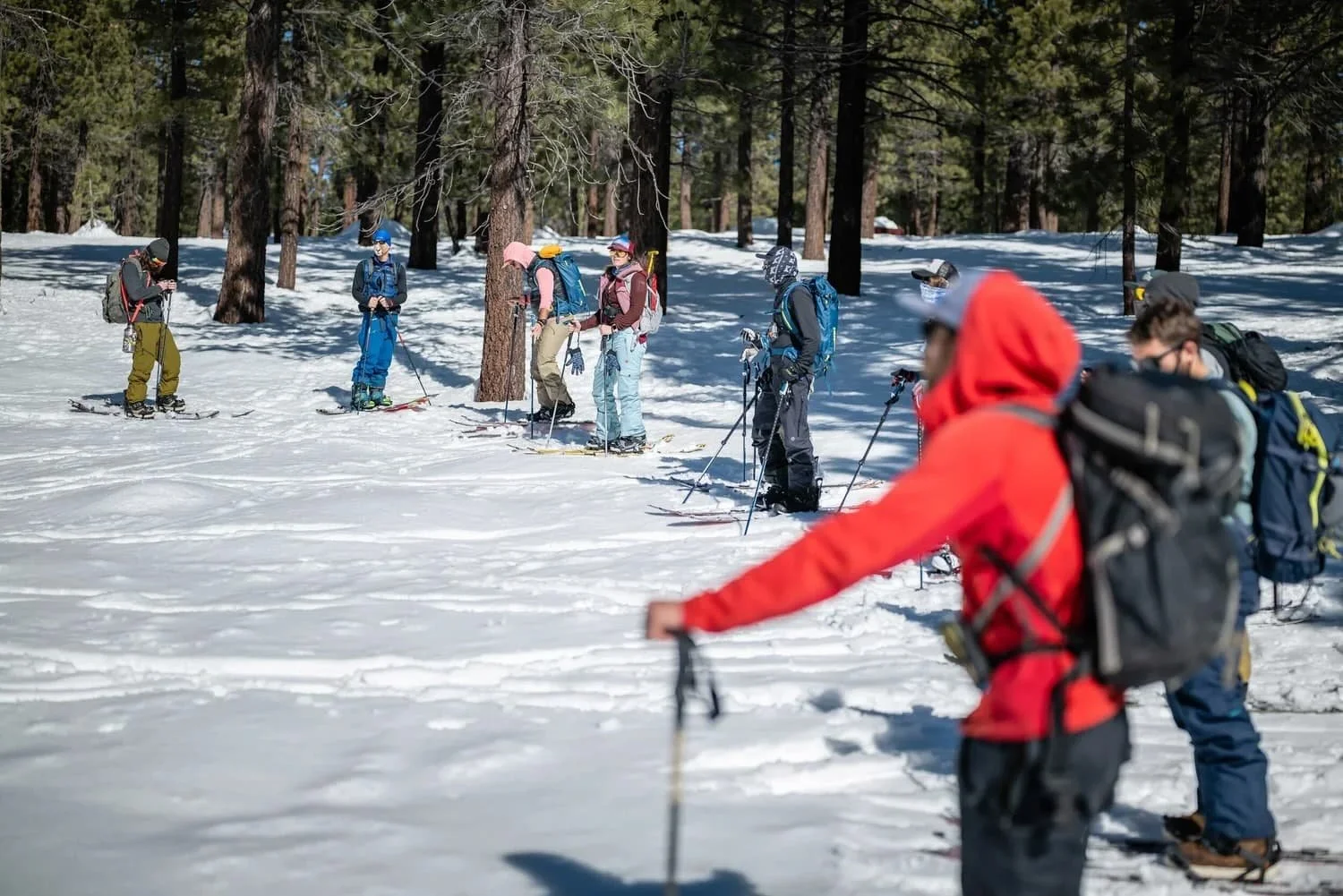 Small group snow safety course in Mammoth Lakes
