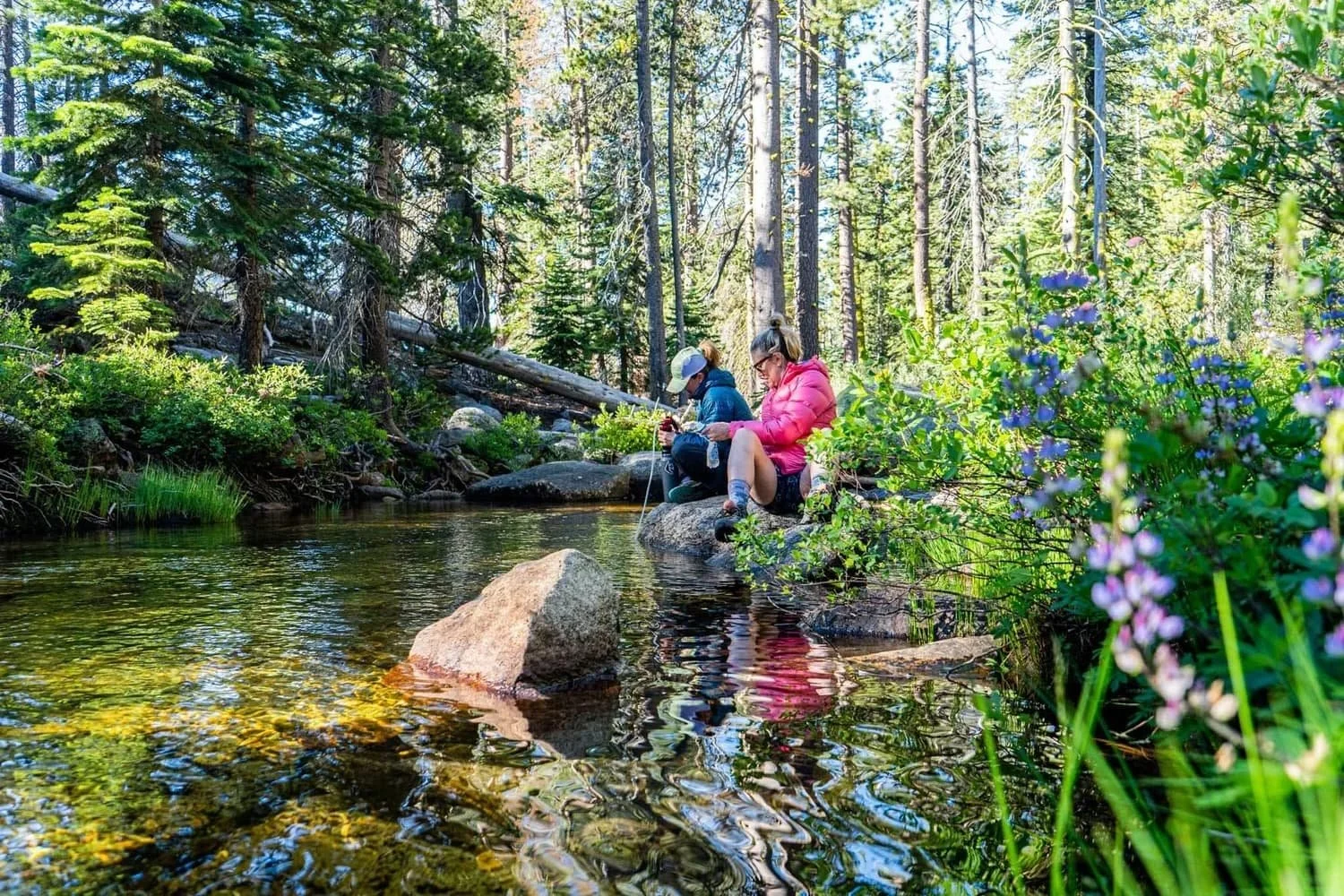 Backpacking experience in Yosemite’s remote backcountry