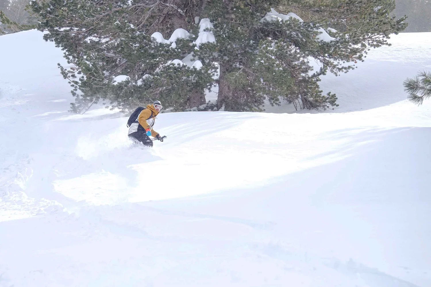 Splitboarding course focused on safe mountain travel in Mammoth Lakes