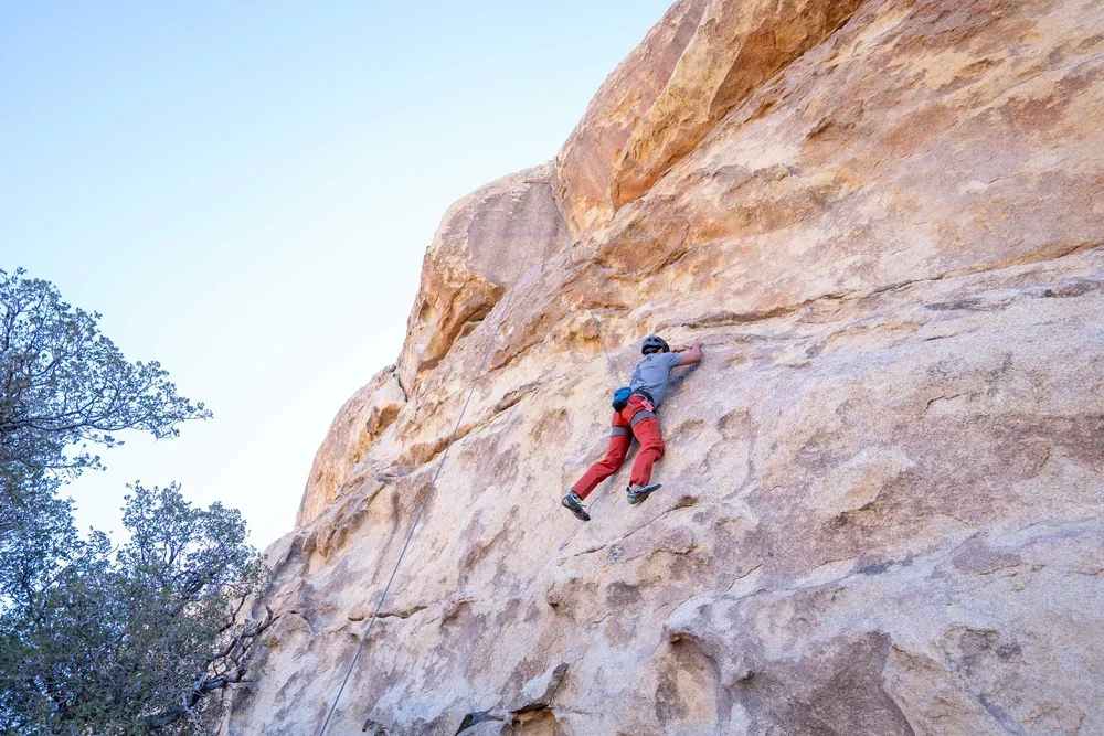 Guided climbing experience on natural rock features in Joshua Tree
