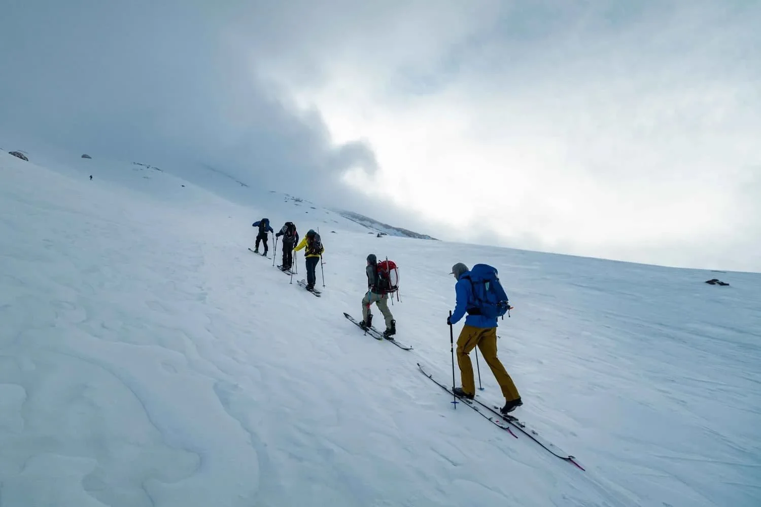 Group backcountry skiing experience in the Mount Shasta region