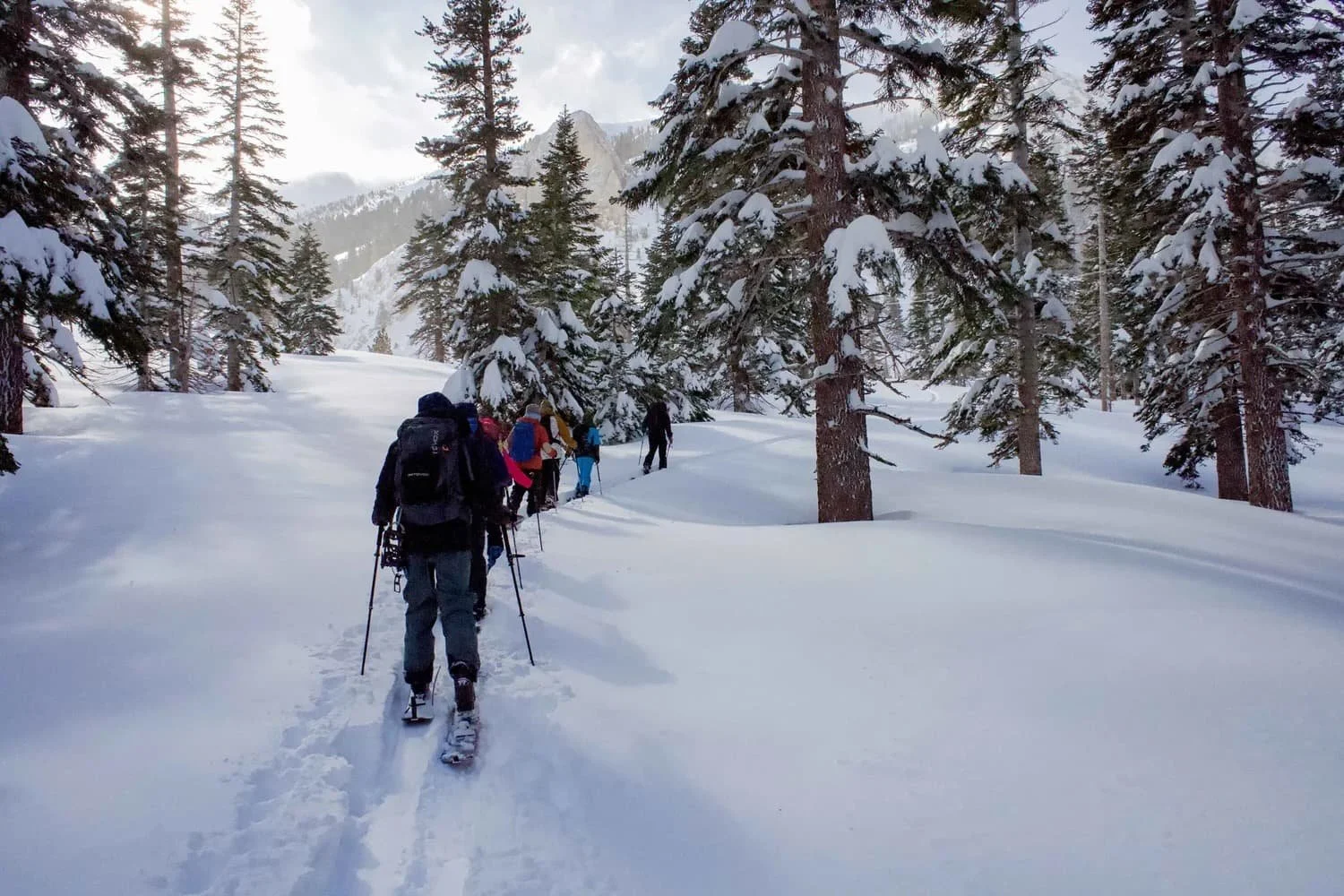 Splitboarding instruction on snow-covered terrain in the Eastern Sierra