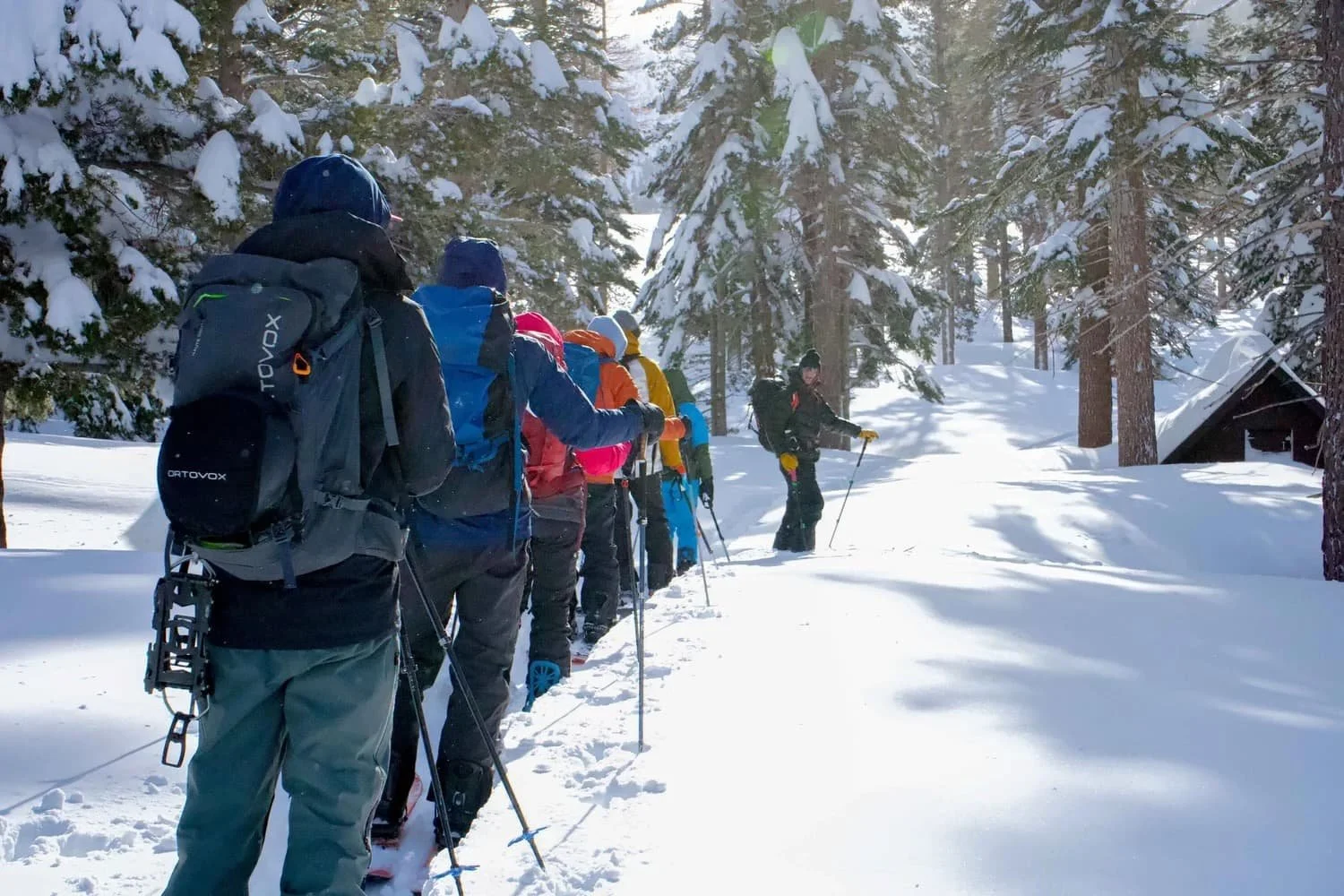 Introductory splitboard touring course in Mammoth Lakes