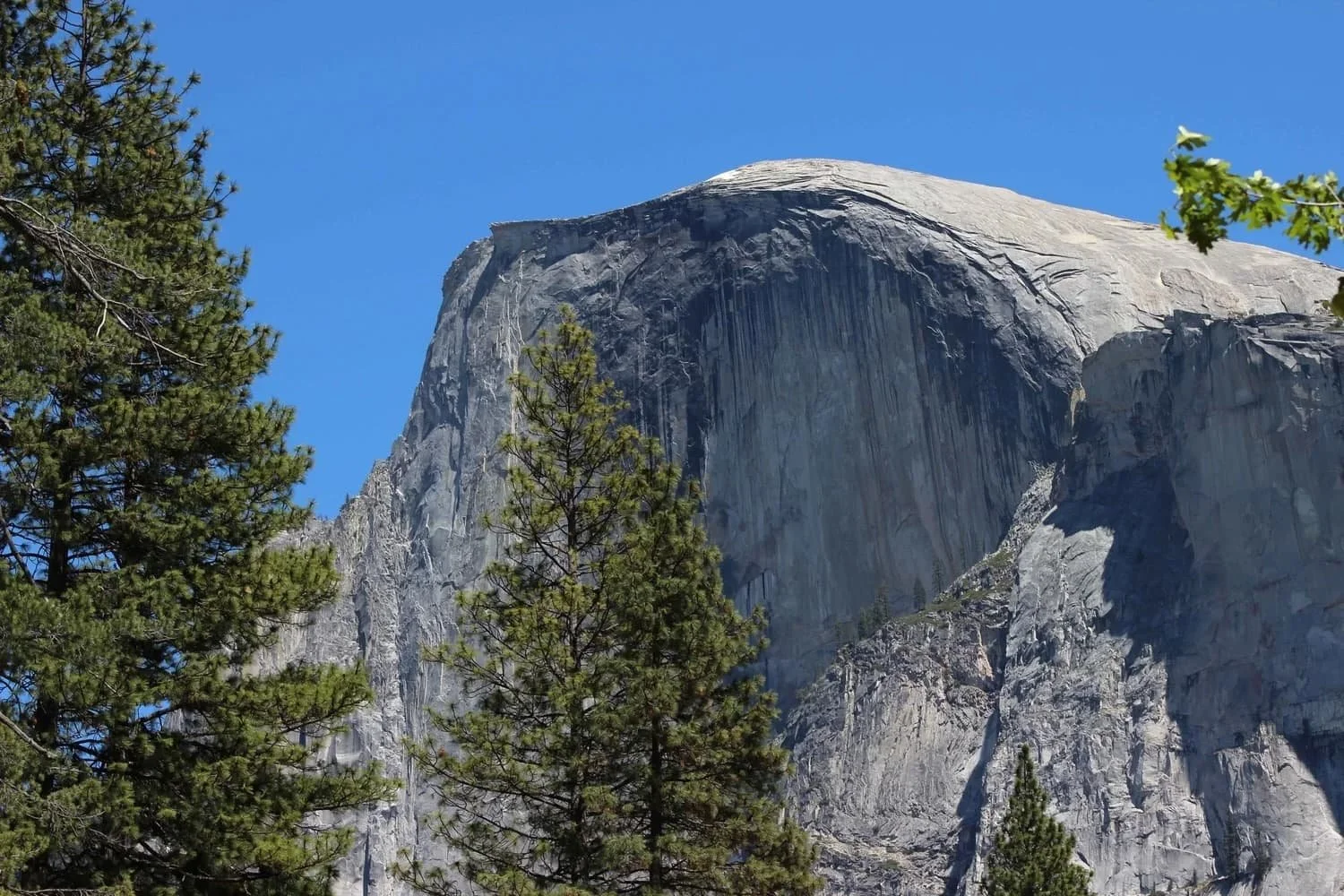 Guided overnight backpacking in Yosemite National Park