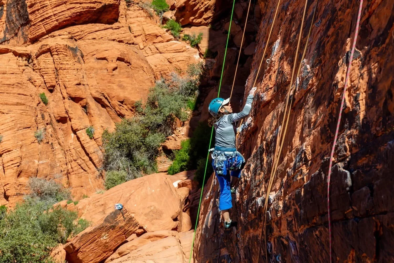 Rock climbing course for all skill levels in Red Rock Canyon