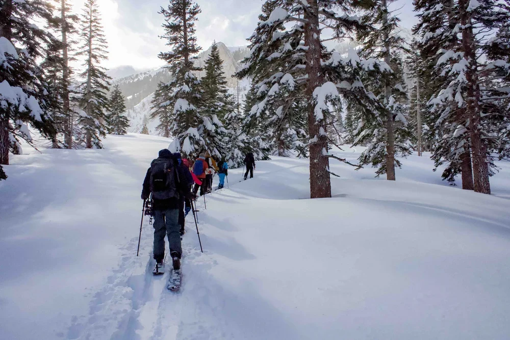 Backcountry skiing and splitboarding experience in the Eastern Sierra high country