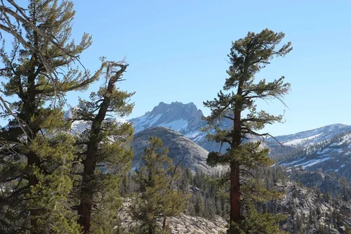 Private backpacking instruction and guiding in Yosemite National Park