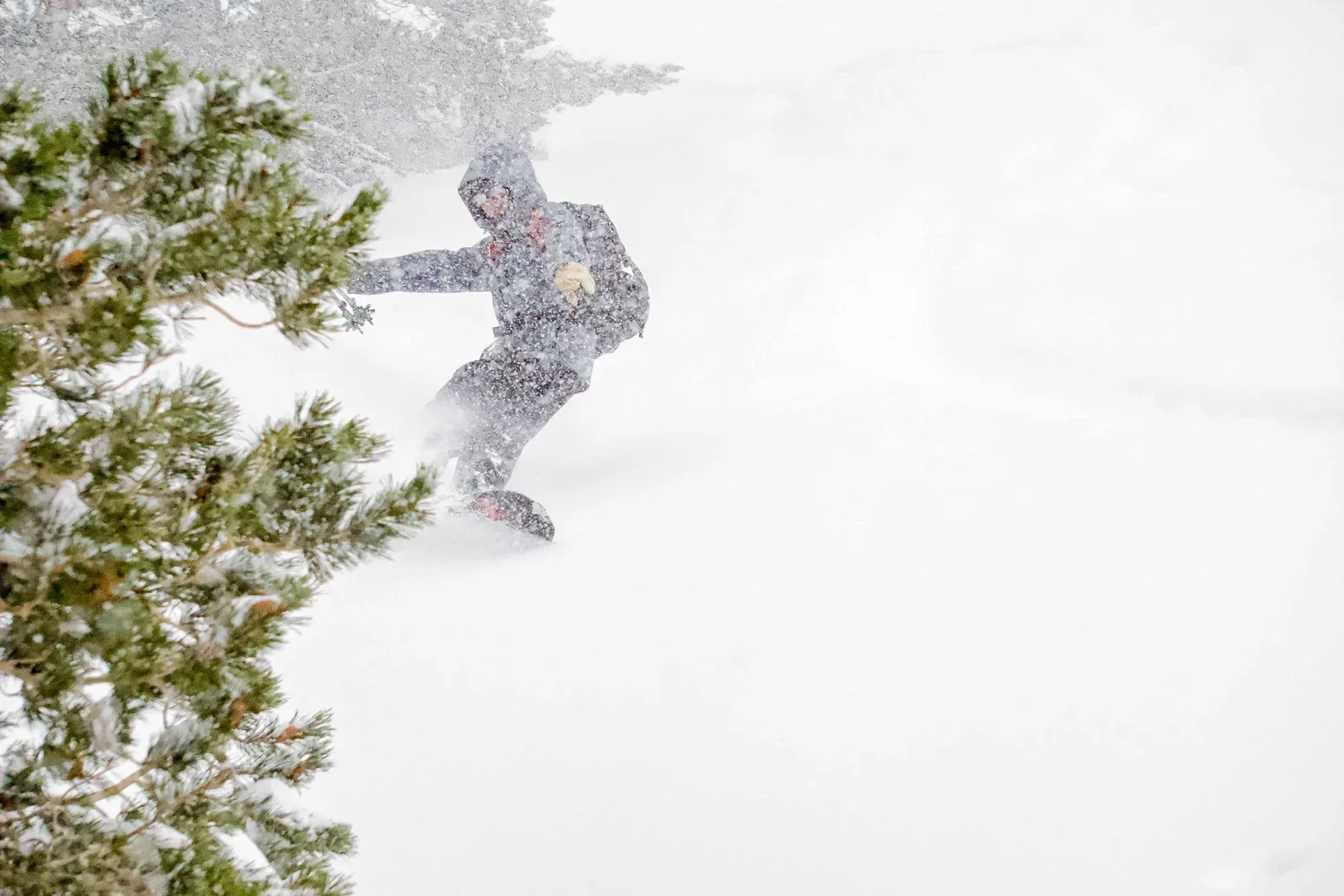 Guided splitboard touring in the Mammoth Lakes region