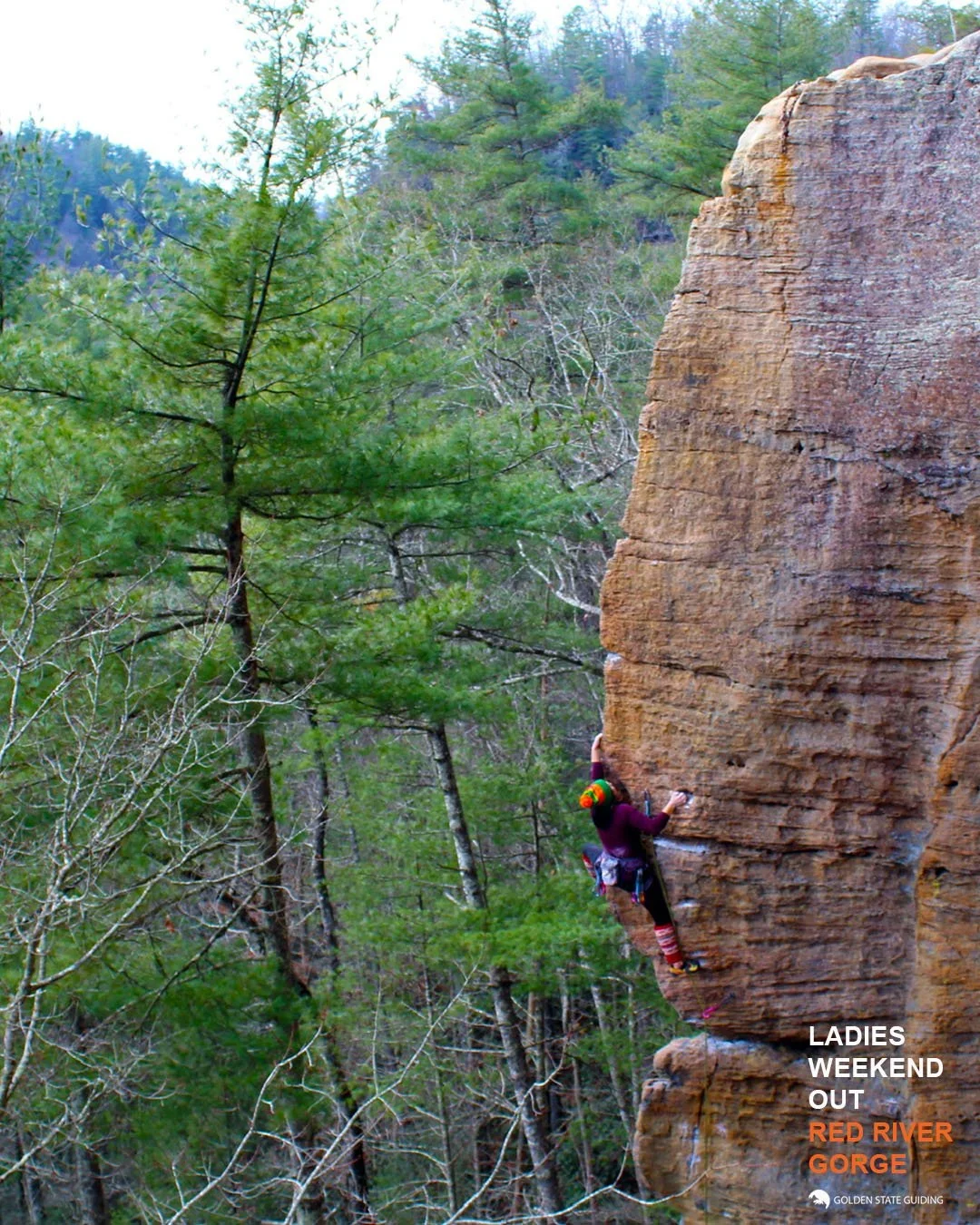 womans-rock-climbing-event-red-river-gorge-1.webp