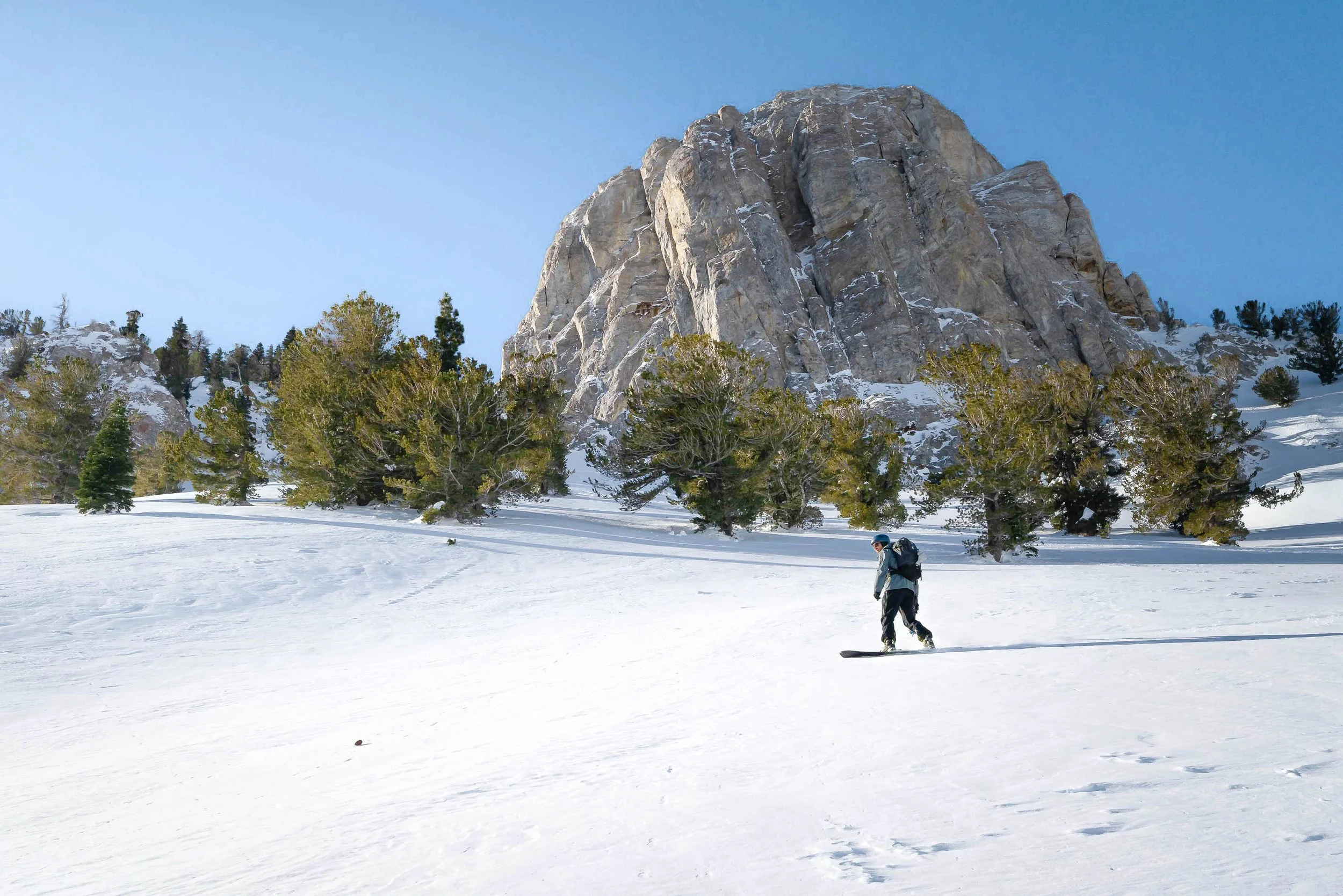 Sierra Splitboarding 101 (Individual Course -January 15th, 2026)