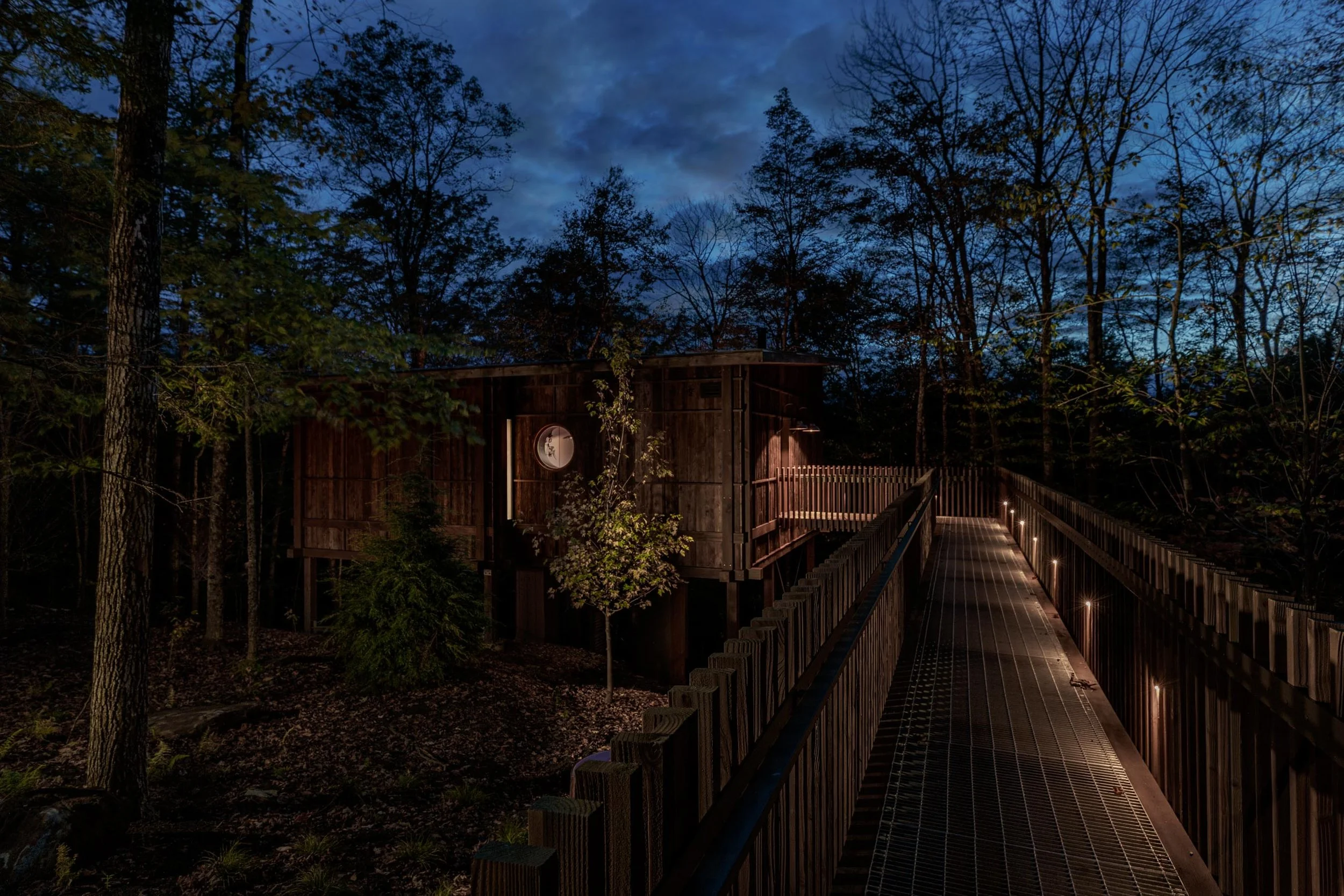 TREEHOUSE-_MG_7246_.jpg