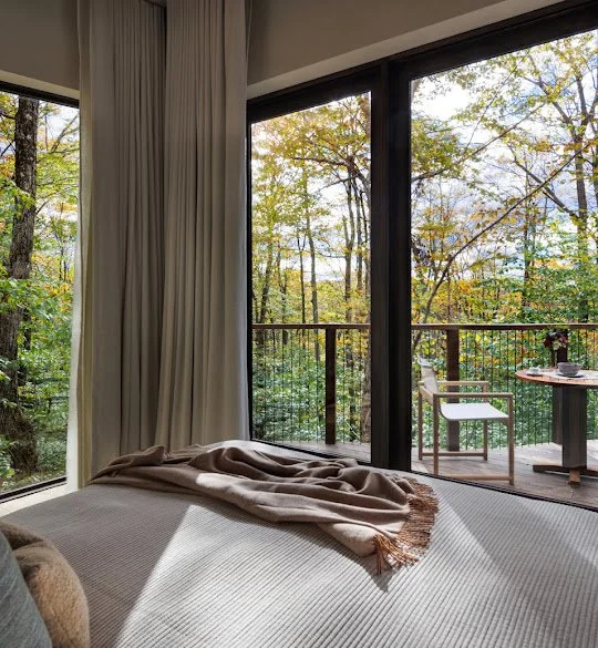 treehouses2.jpg