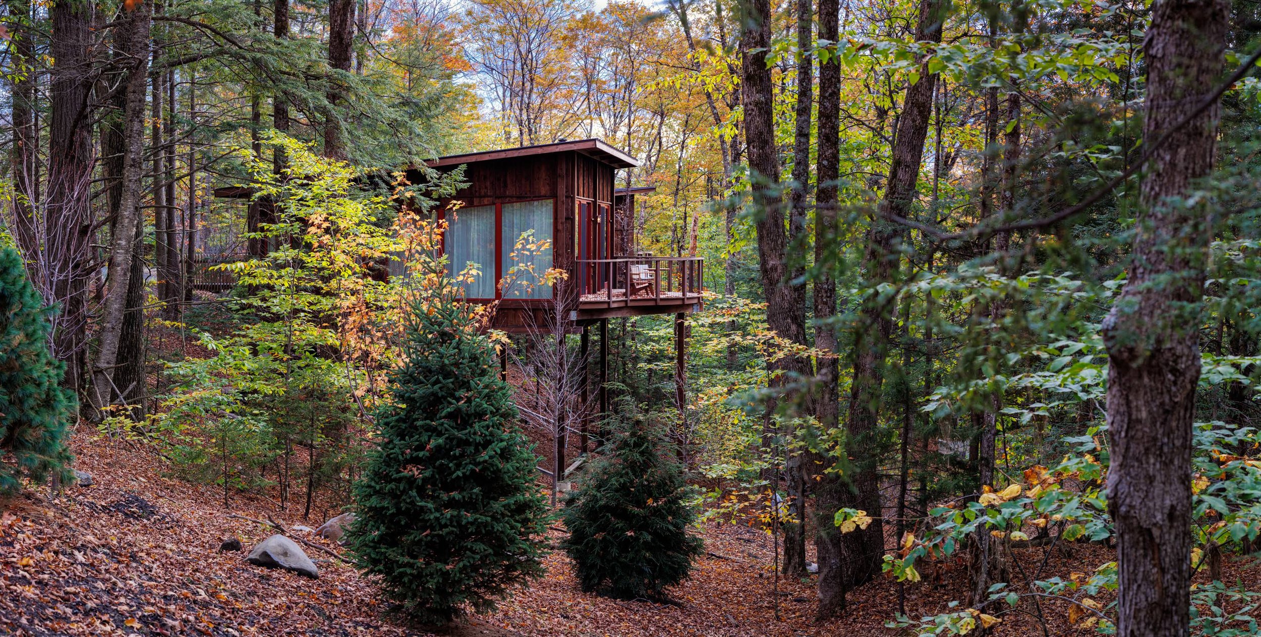 treehouses3.jpg