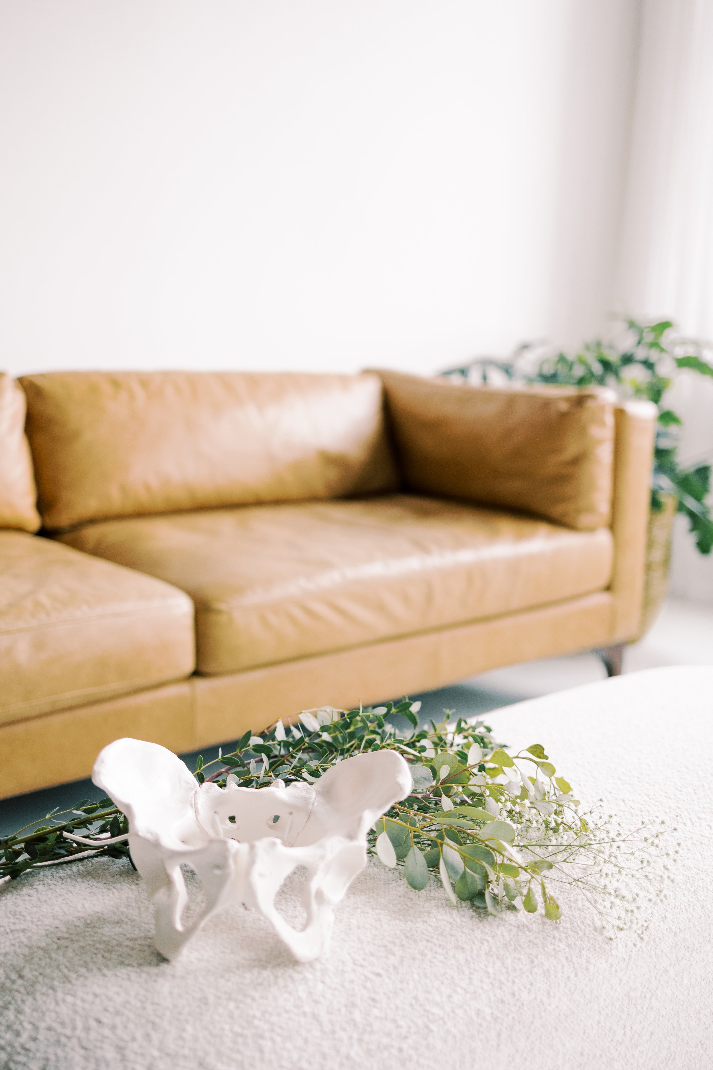 Decorative white ceramic skull-shaped dish with green foliage on a beige carpet, leather sofa in background
