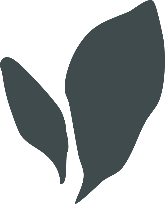 Silhouette of two plant leaves in dark gray color on a black background.