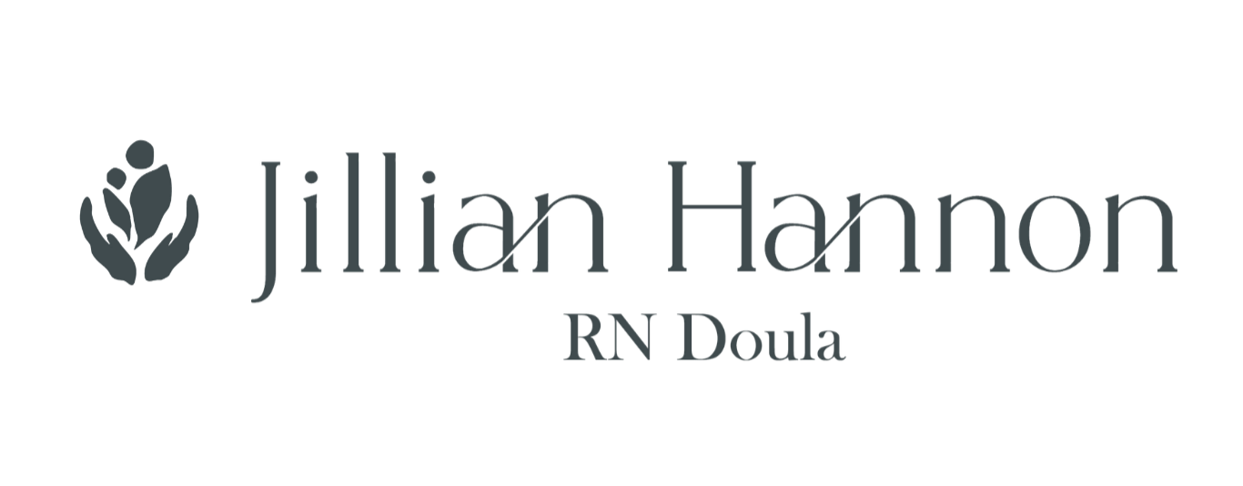 Logo with a stylized plant icon next to the text 'Jillian Hannon RN Doula' in a modern font.