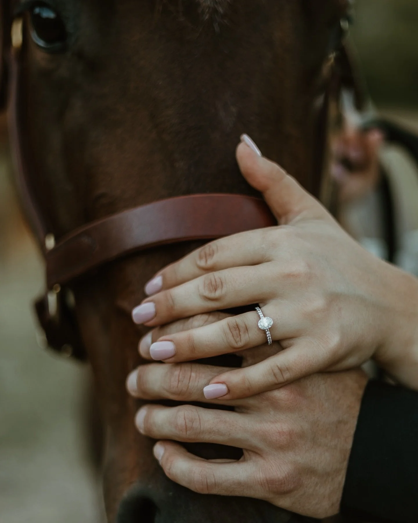 Why yes, I would love it if your horse came to your session 🐎🥹