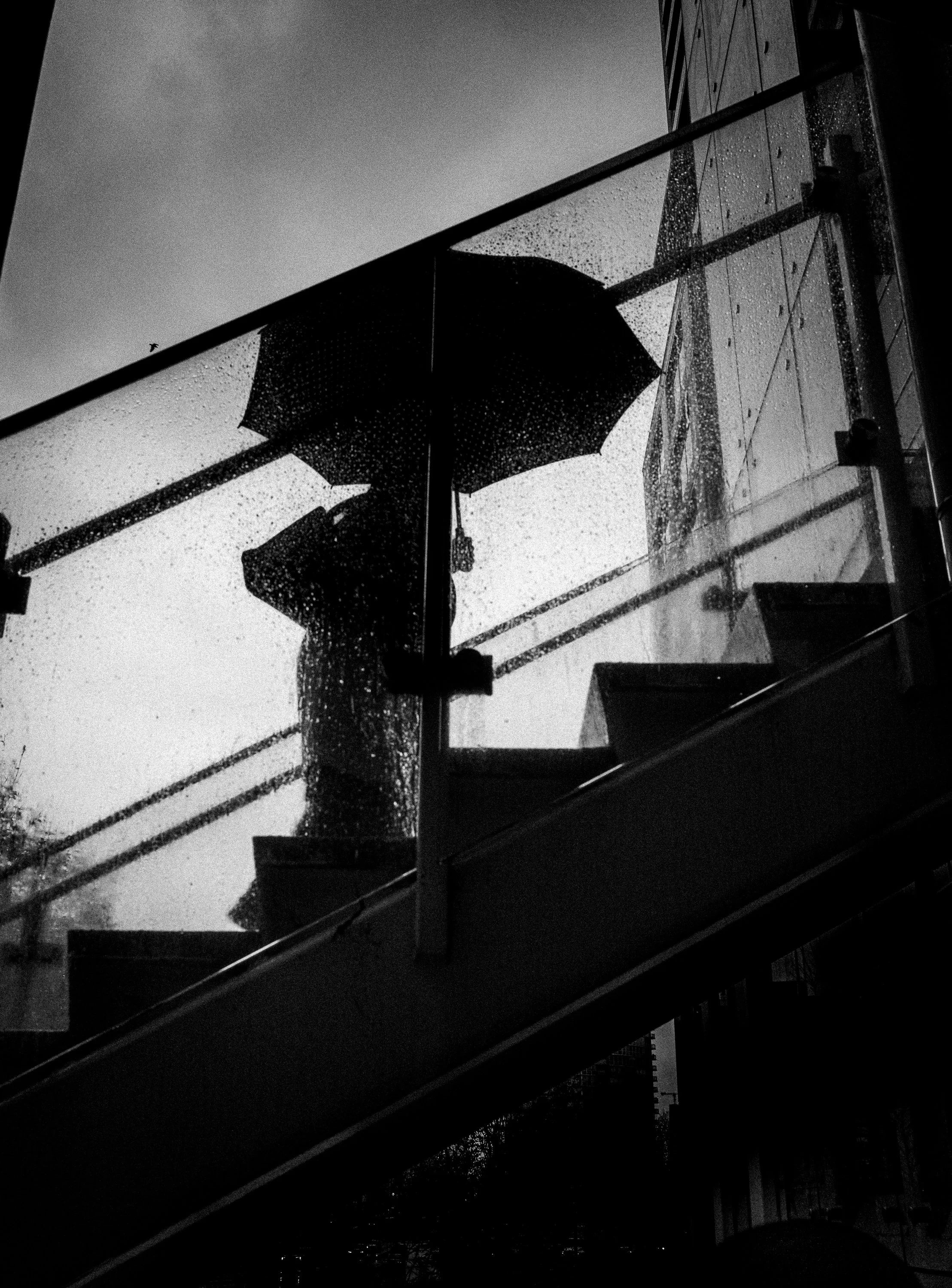 umbrellastairs3.jpg