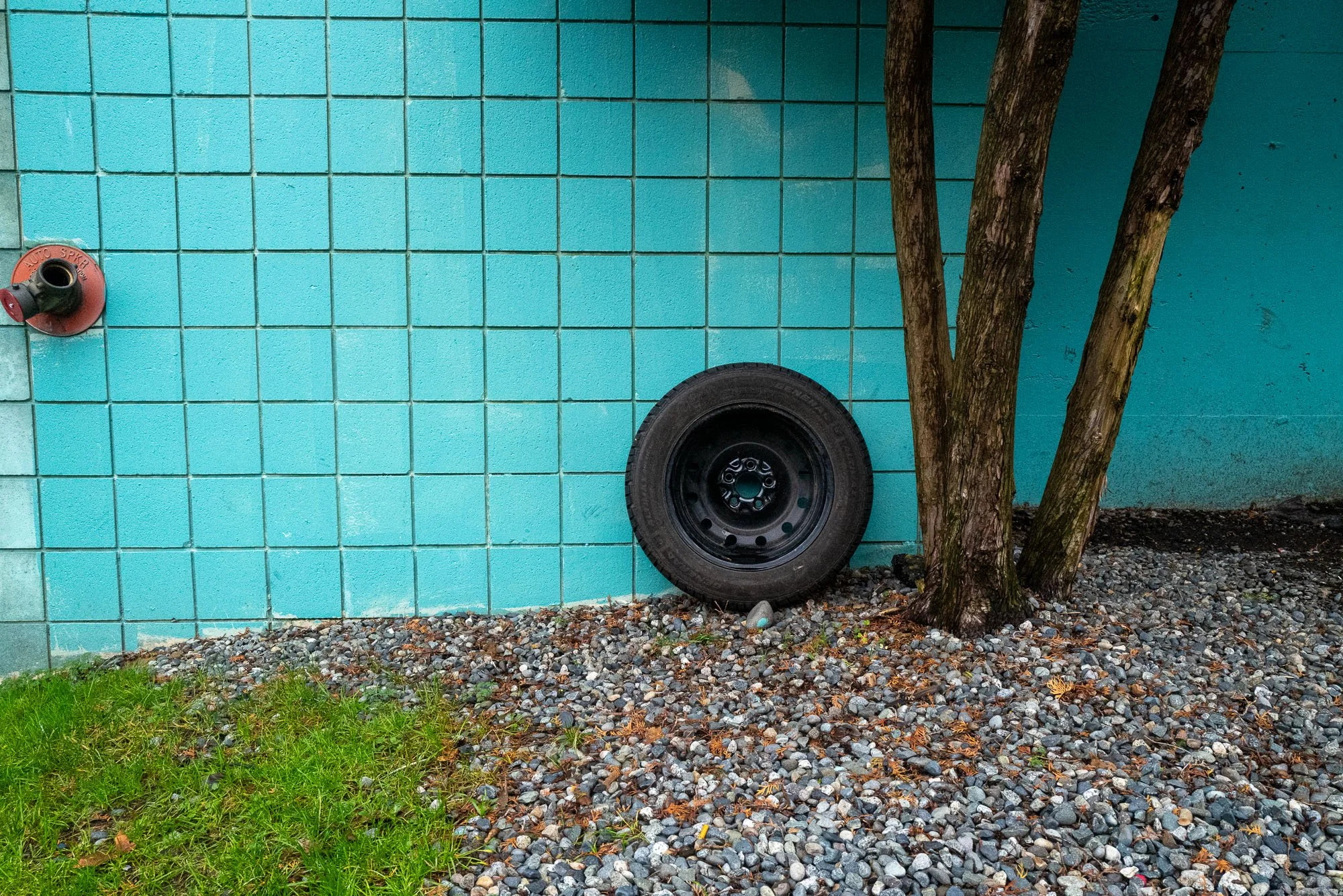 bluewalltire.jpg