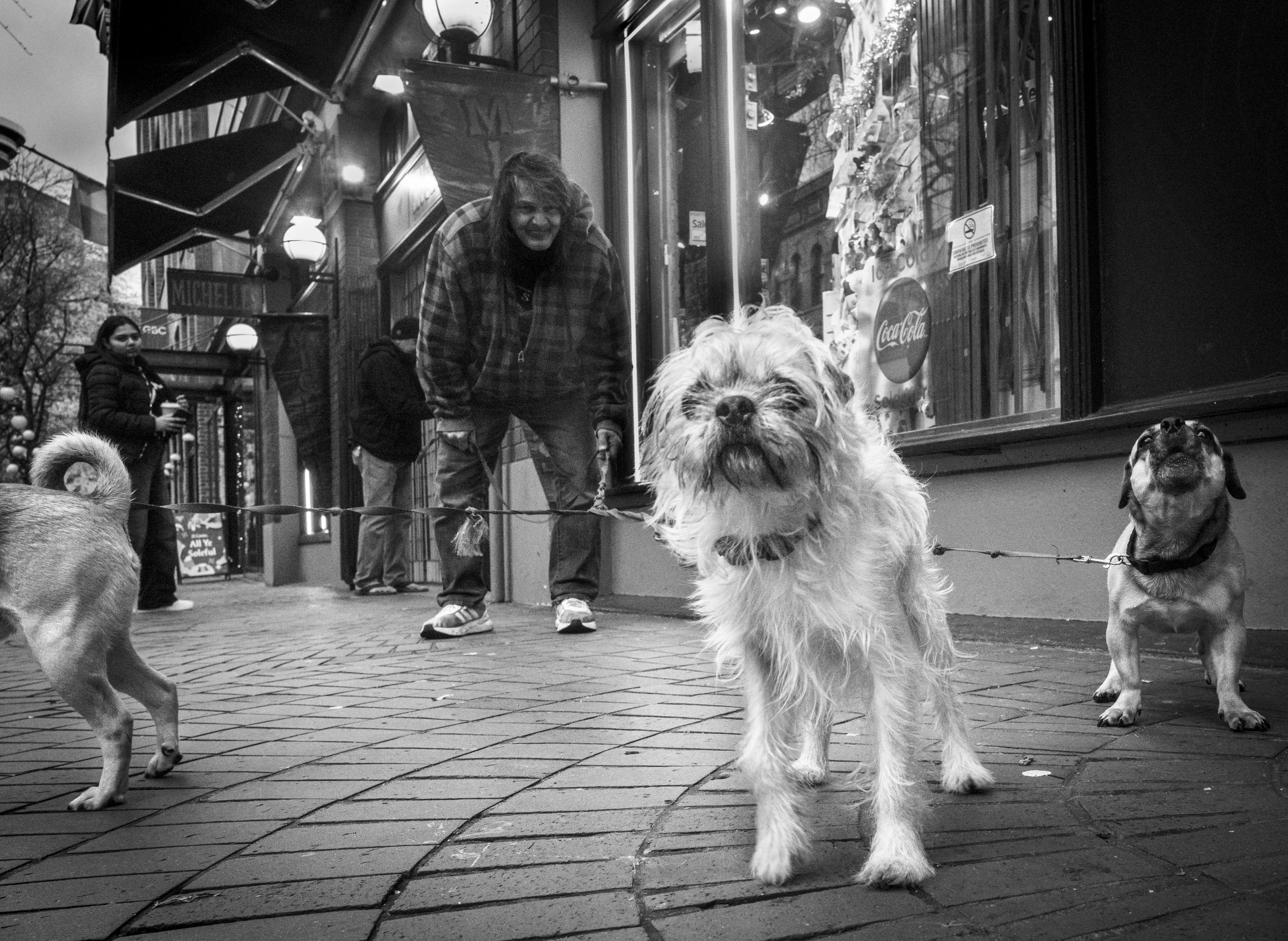 dogsgastown8.jpg