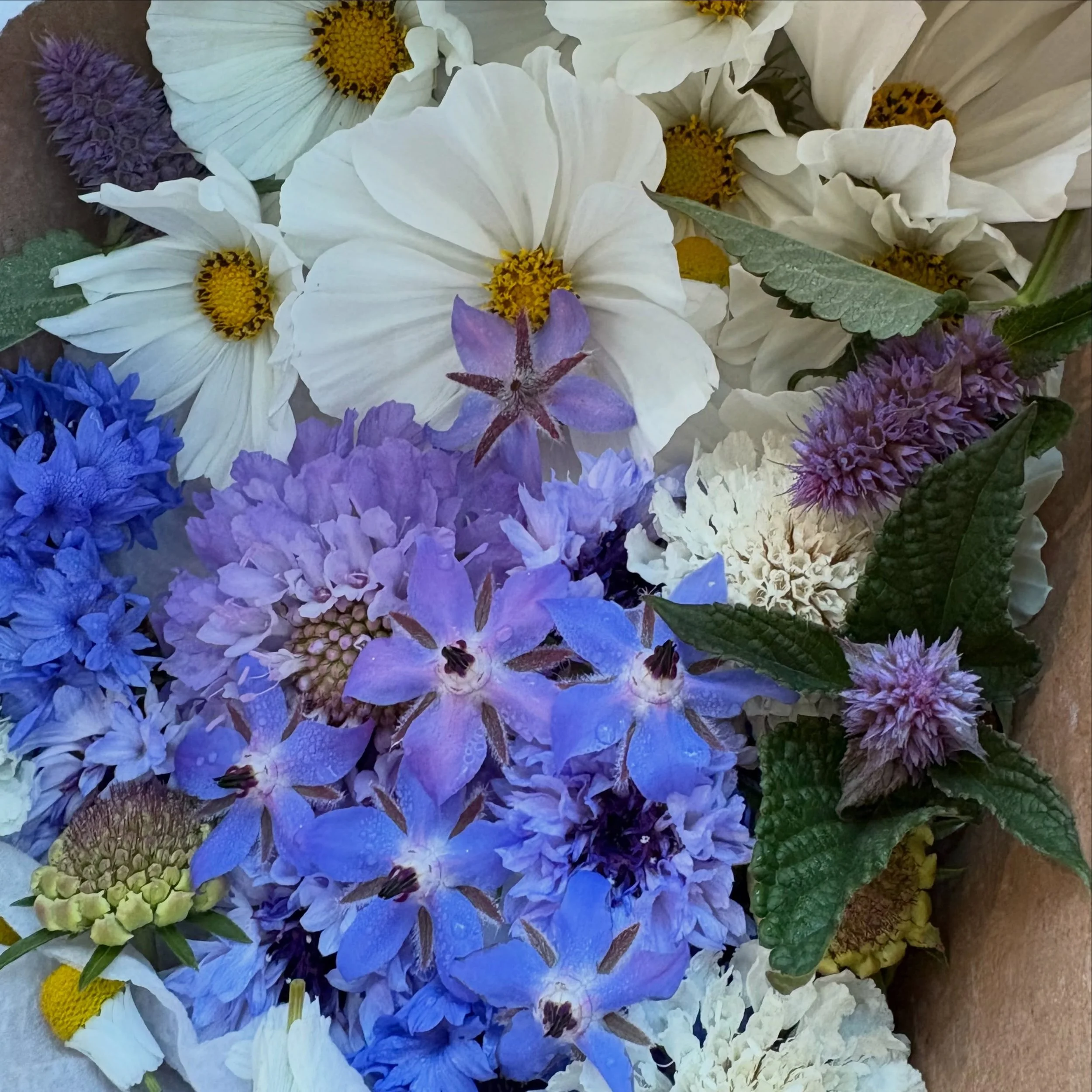 Another batch of gorgeous florals for our event today! 

Partnering with Caravan Farms &amp; Kitchen has been such a blessing to our small catering business. 

We&rsquo;ve been so grateful for their support, advice, and beautiful florals for our char