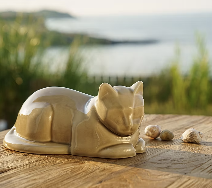 Screenshot 2026-01-16 at 14.24.00.png