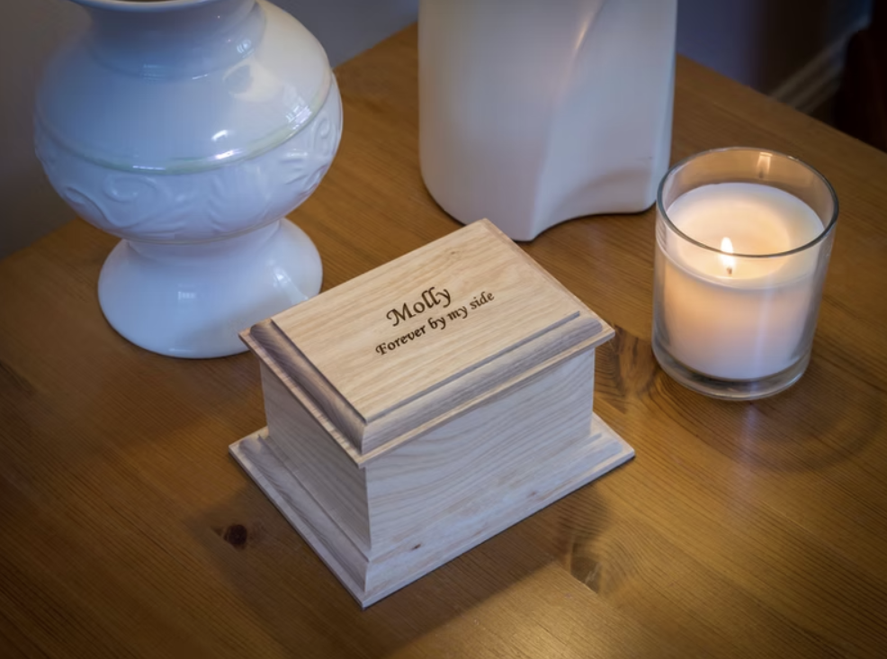 Screenshot 2026-01-15 at 23.04.34.png (Copy)