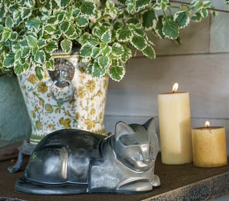 Screenshot 2026-01-16 at 14.24.18.png