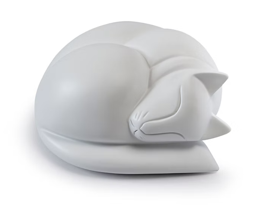 Screenshot 2026-01-16 at 14.18.29.png