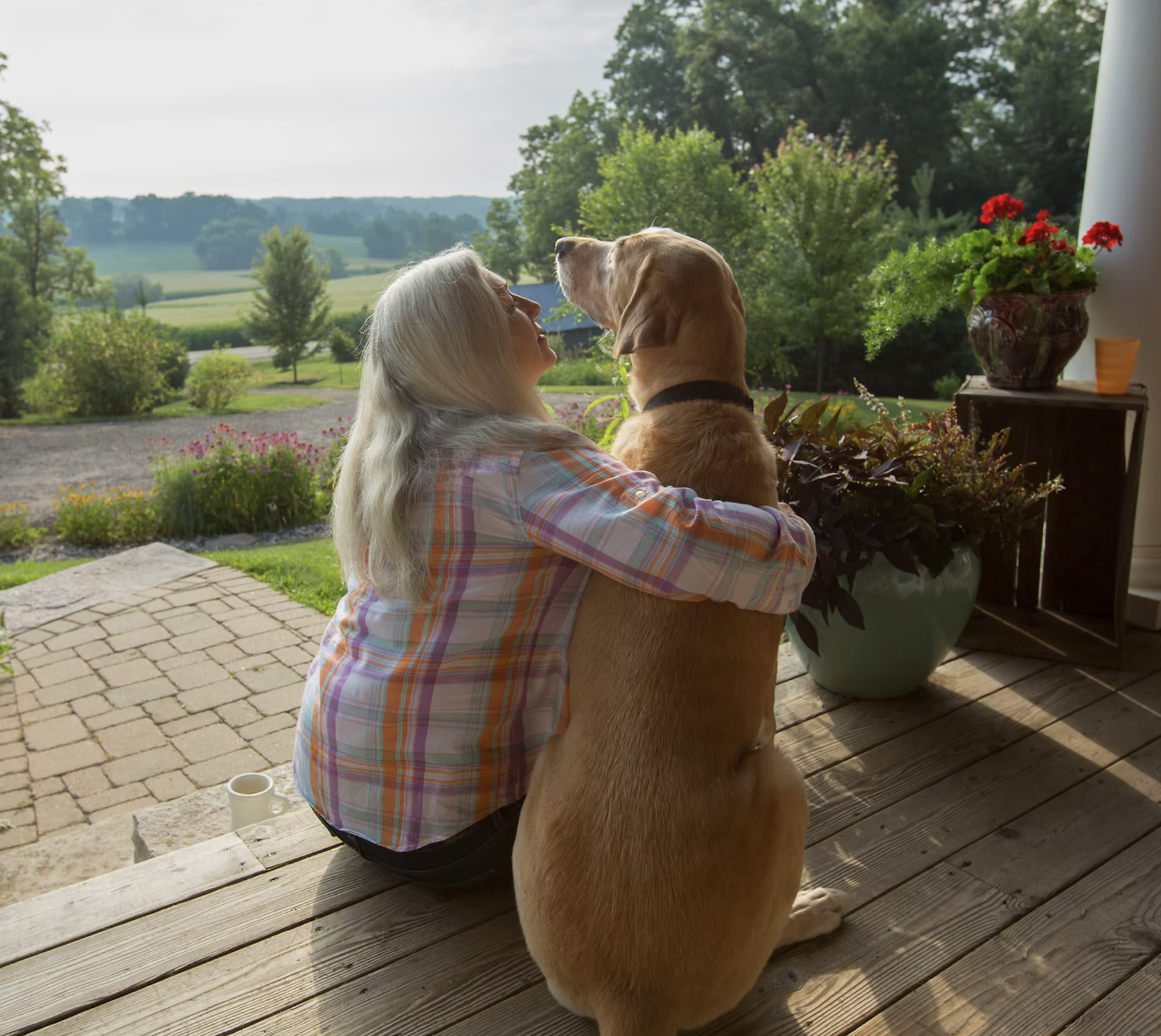 Home euthanasia for pets in Mansfield and Nottinghamshire