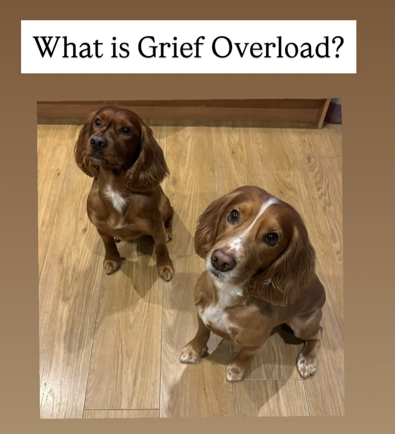 What is Grief Overload