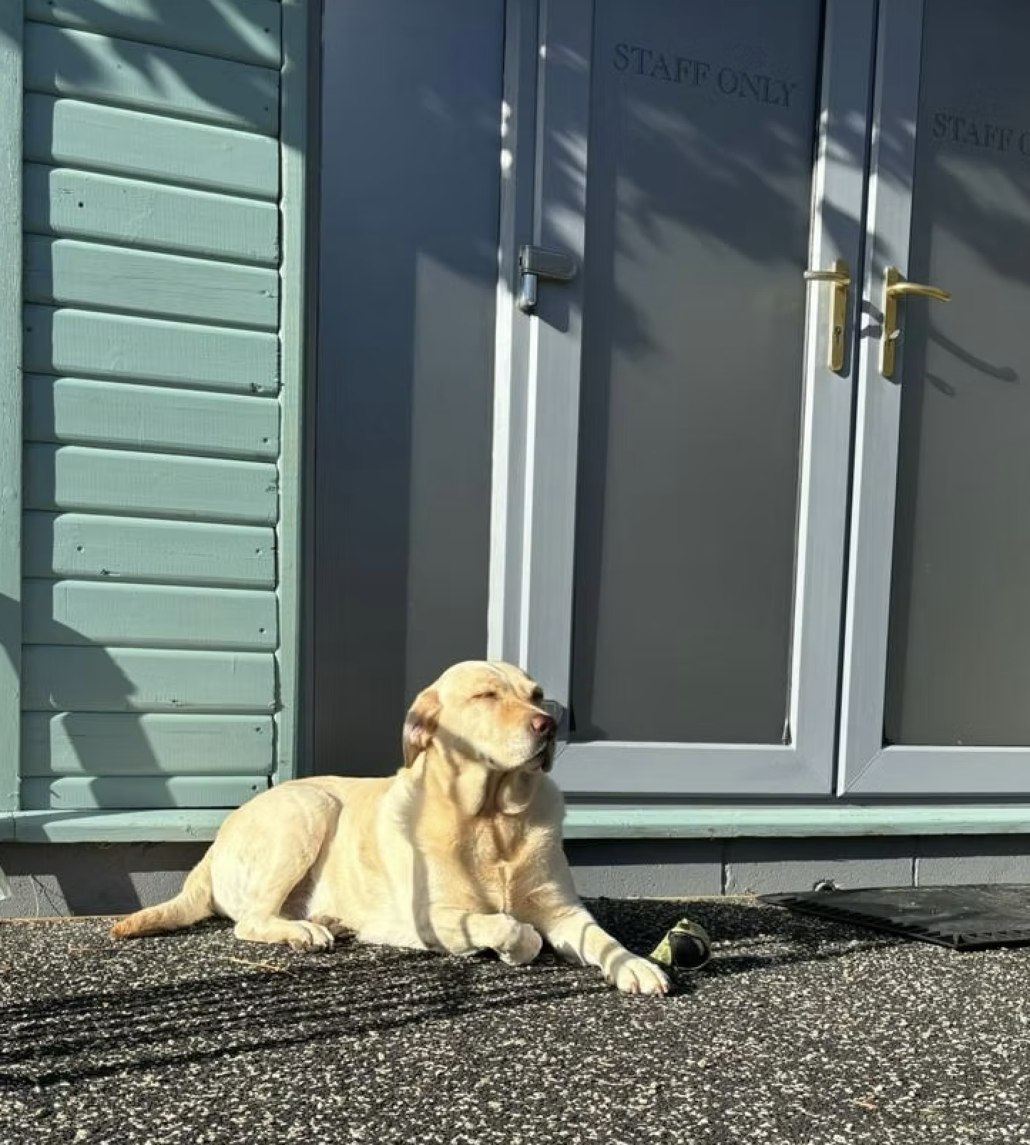 Do we send your pet away?