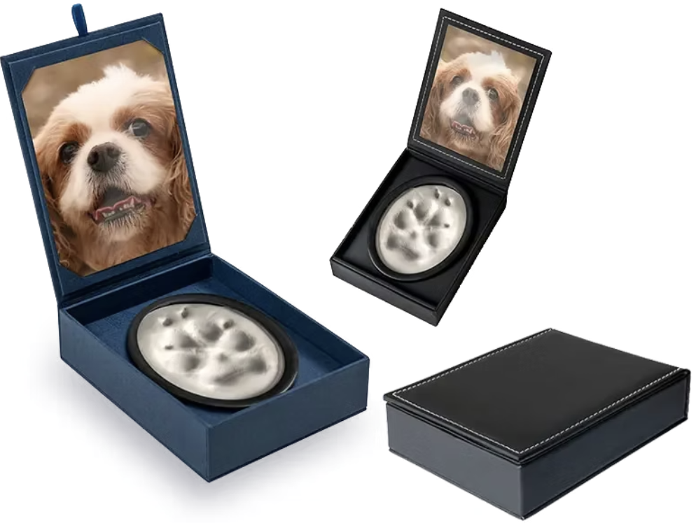 A Lasting Impression Paw Cast