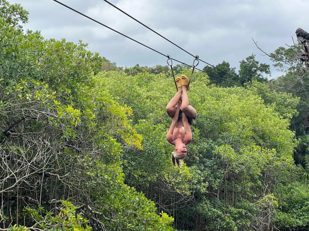 IMG-20260318-WA0032.jpg (Copy)