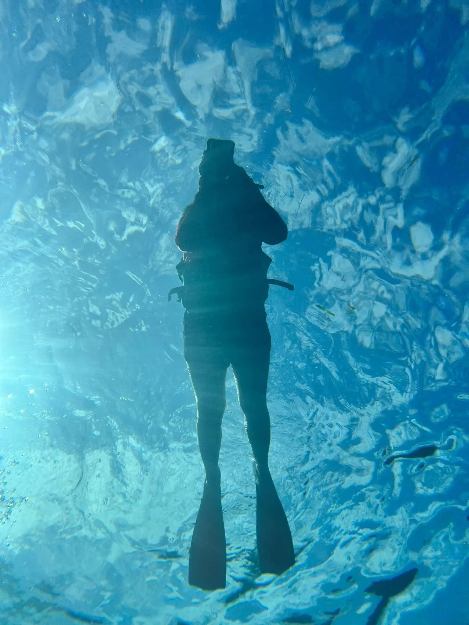 received_412805361324761.jpeg (Copy)