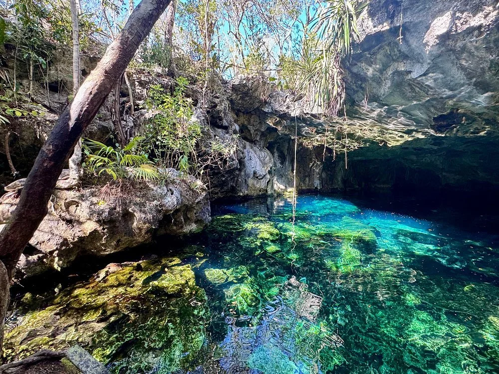 cenotw minotauro.jpg (Copy)