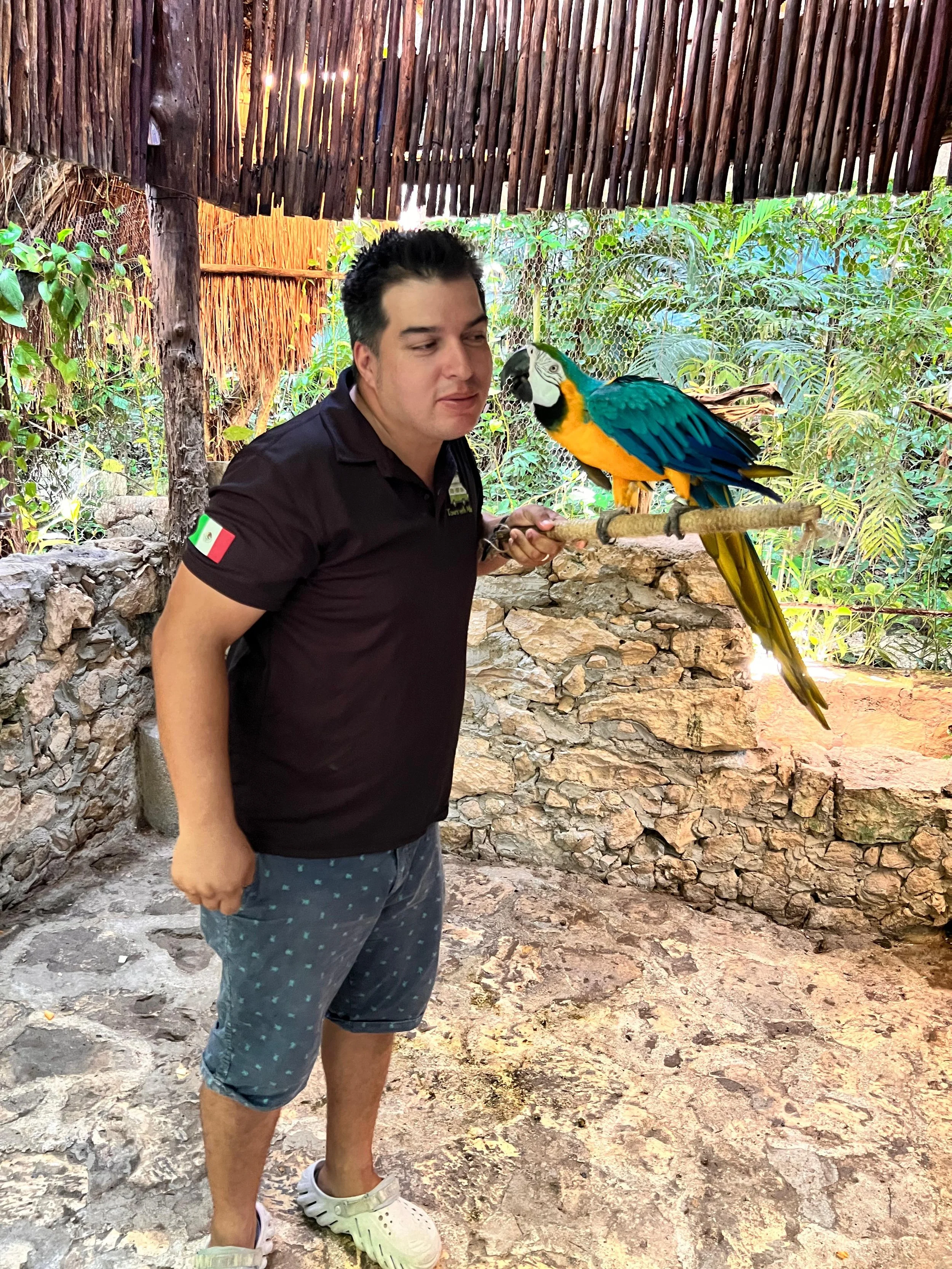 IMG-20250921-WA0264.jpg (Copy)